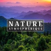 Incroyable - Musique Coeur de la Nature