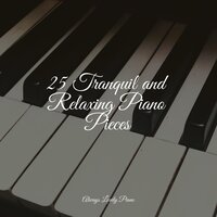 Playful - Piano para Relaxar & Exam Study Classical Music Orchestra & Relajante Música de Piano Oasis