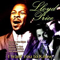 He Will Break Your Heart - Lloyd Price