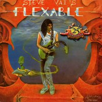 Salamanders in the Sun - Steve Vai