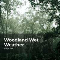Hush Earth Melody - Nature and Rain & Deep Rain Sampling & Jungle Rain