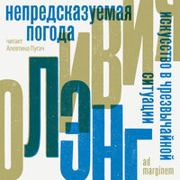 Оливия Лэнг. «Непредсказуемая погода. Искусство в чрезвычайной ситуации». Часть 32 - Алевтина Пугач
