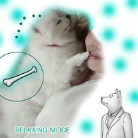 Stress Relief Music For Pet Dogs - Relaxing Mode