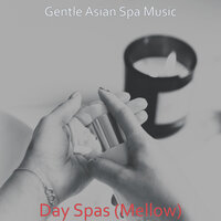 Nice (Music) - Gentle Asian Spa Music