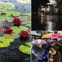 Mysterious Backdrops for Rainy April - Relax Chillout Lounge