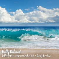 Soothing Ocean Waves Crashing on a Sandy Beach, Pt. 14 - Steve Brassel