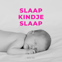 Torentje Torentje Bussekruid - Benjamin Bonum Nocte & Slaapliedjes & Slaapliedjes Fee