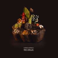Lamento Borincano - Florencia Bernales & Juan Falú