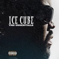 A Bird In The Hand - Ice Cube