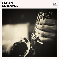 Dinner Jazz - Study Focus Jazz Playlist & Relaxing Jazz & Jazz Lounge Zone & Calm Jazz