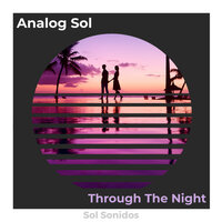 Through The Night - Analog Sol