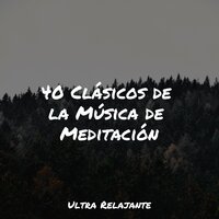 Meditación Eterna - Dormir Mucho & Musica Para Dormir Bebes & Sonido Del Bosque y Naturaleza
