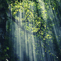 Marvellous Ambiance for Relaxing Moods - Soft Jazz Romance