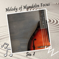 Sleep Insomnia - Sleep Music: Native American Flute & Studying Music For Focus & Cat Music