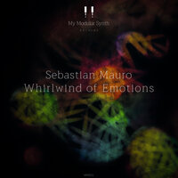 Whirlwind of Emotions - Sebastian Mauro