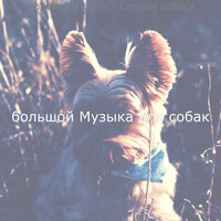 Атмосфера (Собаки) - большой Музыка для собак