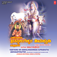 Sivasthuthi(Rudram Chamakam Namakam) - Chorous