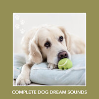 Weekday Calm - Calm My Dog