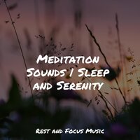 Seeing the Light - Pro Sound Effects Library & Chakra Balancing Sound Therapy & Tonal Meditation Collective