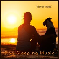 Bring Me My Bone! - Dog Sleeping Music