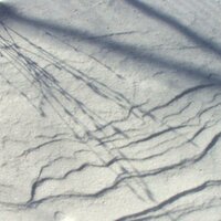 Drift Gently Down the Frigid Tides of Sleep - Pedestrian Deposit