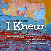 I Knew - Vedran Komm & Movici