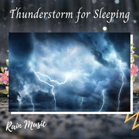 Snails In The Rain - Rain Hive & Rainforest Sounds & rainstantly