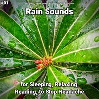 New Age Rain Sounds for Relaxation - Rain Sounds & Nature Sounds & Rain Sounds by Alannah Merikanto