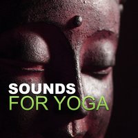 Sleep Therapy Sounds - Meditation Music Masters