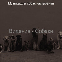 Звуки (Собаки) - Музыка для собак настроения