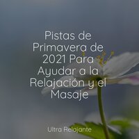 Estrellas En Tierra - Hipnose Natureza Sons Coleção & Master Meditação & Relajar