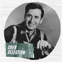 Skin Tight, Pin Striped, Purple Pedal Pushers - Sheb Wooley