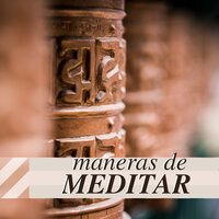 India Flauta (Desintoxicar #3) - El Mundo Yoga