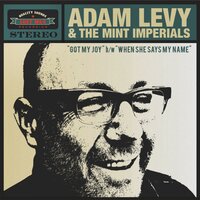 When She Says My Name - Adam Levy