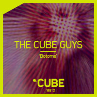 Botoma - The Cube Guys
