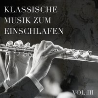 Rondo No. 2 für Klavier und Orchester in A-Dur, KV 386: Allegreto - Petr Macecek & Suk Chamber Orchestra & Susan Kagan & Вольфганг Амадей Моцарт