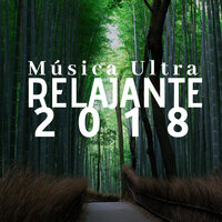 Paz y Tranquilidad - Masajes Spa