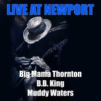 Where's My Woman Been - Muddy Waters