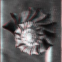 Various Forms of Self Hatred - Vices