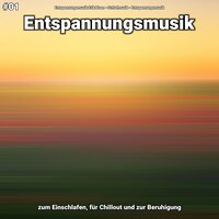 Entspannungsmusik Teil 62 - Entspannungsmusik Erik Lisen & Schlafmusik & Entspannungsmusik