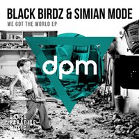 We Got The World - Black Birdz & Simian Mode