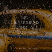 Rain, Thunder, Evening - Deep Sleep Music Experience & Meditation Zen & Ambient Music Therpy