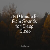 Rainy Beach - Baby Sweet Dream & Raindrops Sleep & Musica Relaxante