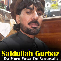 Pa Naseeb Me Yara Nashwa - Saidullah Gurbaz