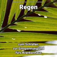 Baby schlaf ein - Entspannungsmusik & Regengeräusche & Regengeräusche von Marco Fauss