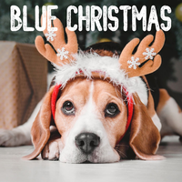 Just a Lonely Christmas - The Moonglows