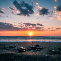 Summer Lubba - Stephen O'Neill