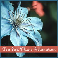 Wellness Spa Center - Spa Music Paradise Zone