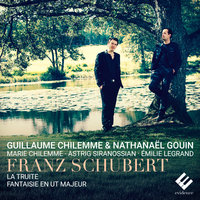 Fantasy in C Major, Op. 159, D. 934: II. Allegretto - Nathanaël Gouin & Guillaume Chilemme & Франц Шуберт