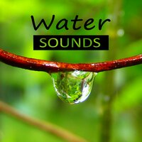 Closer to Nature - Water Music Oasis